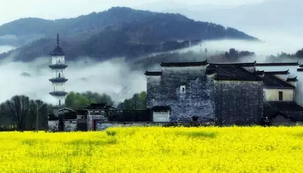 婺源油菜花什么时候开