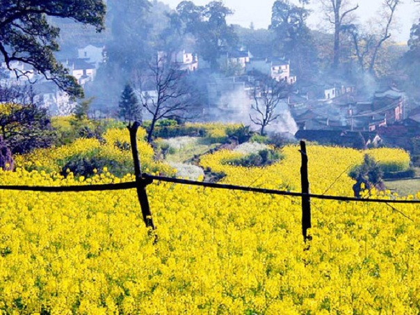 婺源篁岭三清山旅游线路