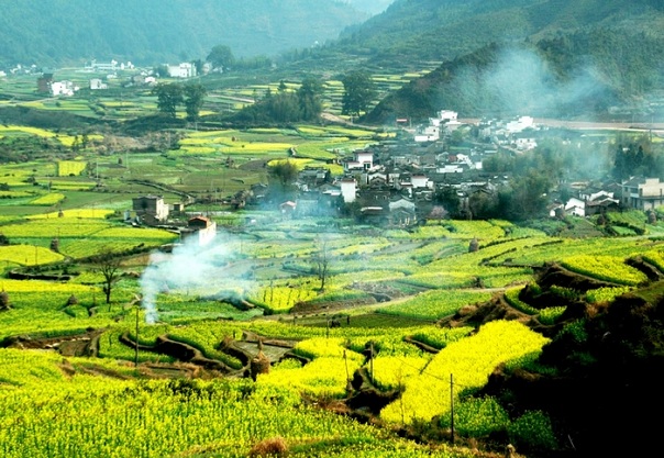 “江西婺源油菜花美景2”