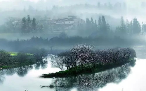 婺源油菜花什么时候开